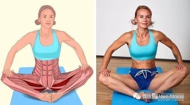 健身拉伸小技巧视频,健身拉伸的15个拉伸动作