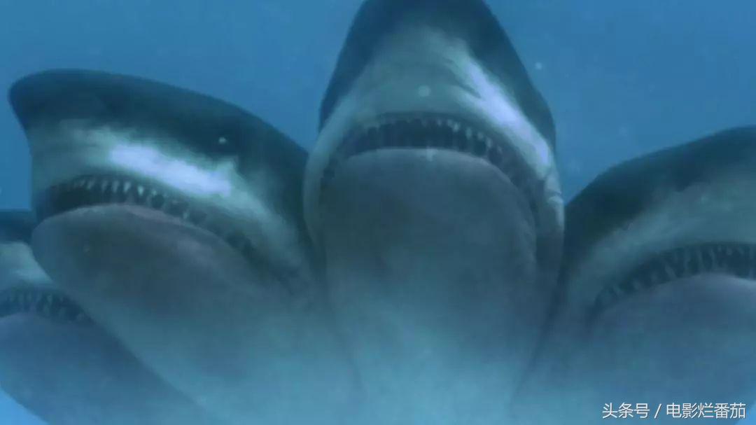 很久没看到这么好看的鲨鱼片了,巨齿鲨在三亚吃饺子宴太有创意了