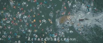 很久没看到这么好看的鲨鱼片了,巨齿鲨在三亚吃饺子宴太有创意了