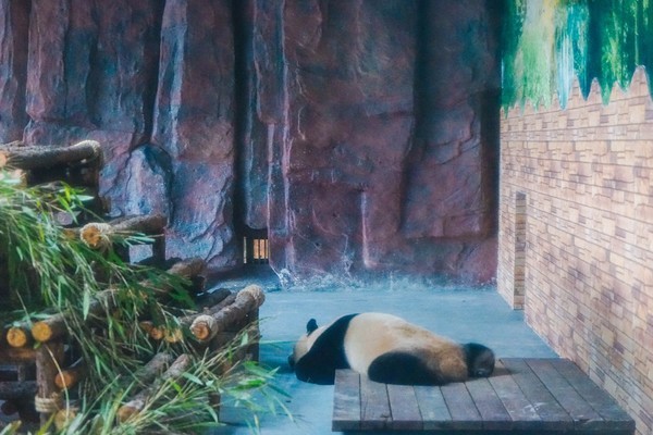 这是一条有气味的街,宝贝如云,还是莞香的起源地