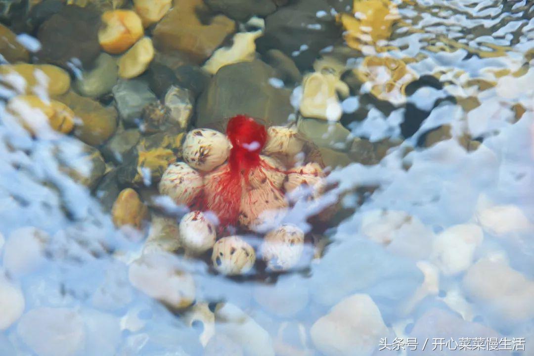 白水寨嘉华温泉酒店周边有什么玩,白水寨嘉华温泉酒店温泉会所