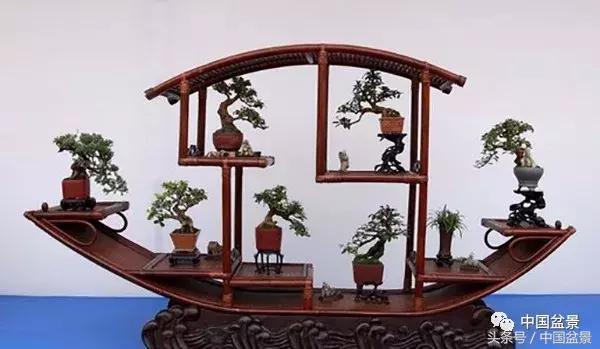 值得收藏的盆景养护常用技法