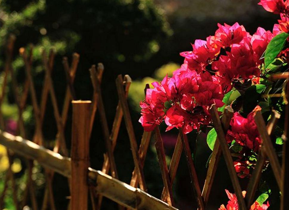 命苦的人要怎么做,走出心灵的低谷感悟