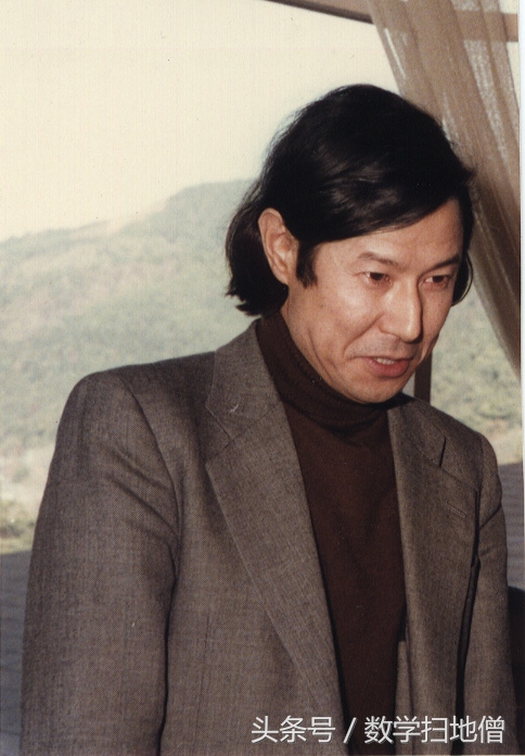 现代数学发展史简介,日本现代经历过的变革