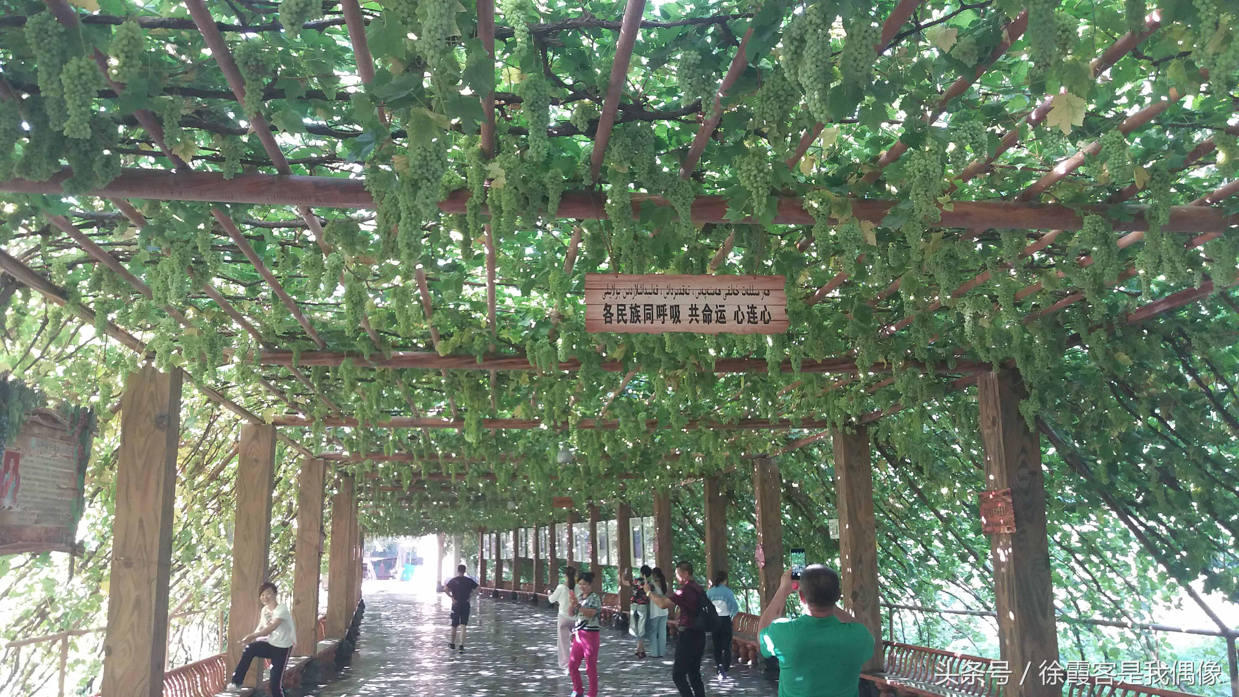 一个车一个人旅游新疆,一辆车游新疆