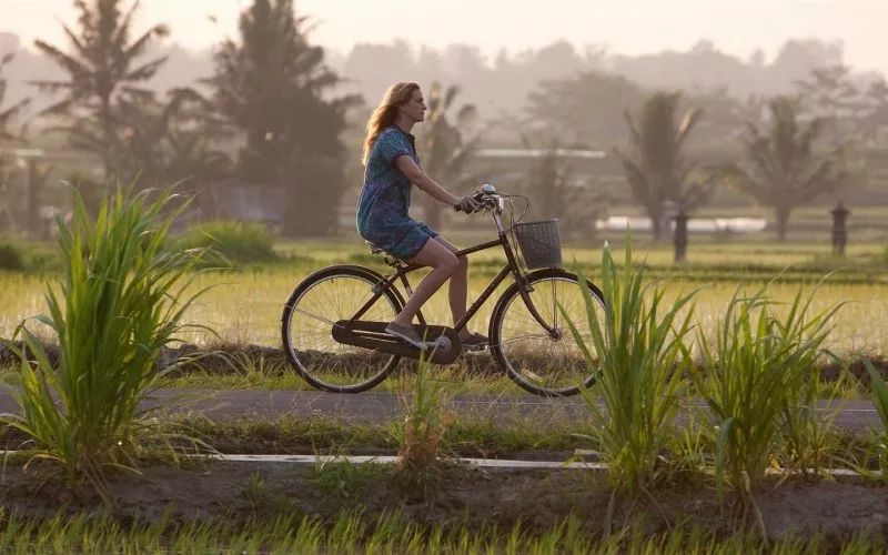 11部高分治愈电影推荐,盘点11部豆瓣3分以下的电视剧