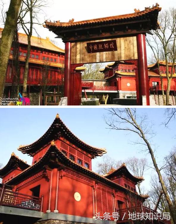 美帝再牛逼，遇见熊猫也得吸？地球知识局