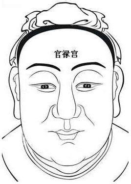 面相十二宫代表身体部位,面相十二宫吉凶图详解