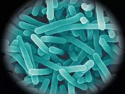 郑州一孕妇吃了块冰西瓜，竟引发早产和新生儿败血症……怎么回事？