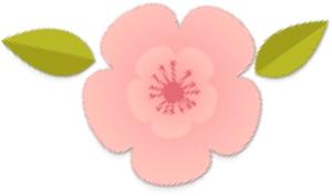 检察版朗读者｜快递未保价丢失！价值3万却受偿300！该如何维权？