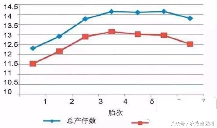 2021执业兽医考试科目,执业畜牧兽医考题