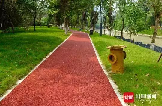 “小心机绿道”、2万盏芦苇灯……沙河城市公园月底开放，美skr人！