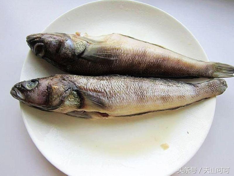 新疆有几种野鱼,新疆都能野采到哪些鱼