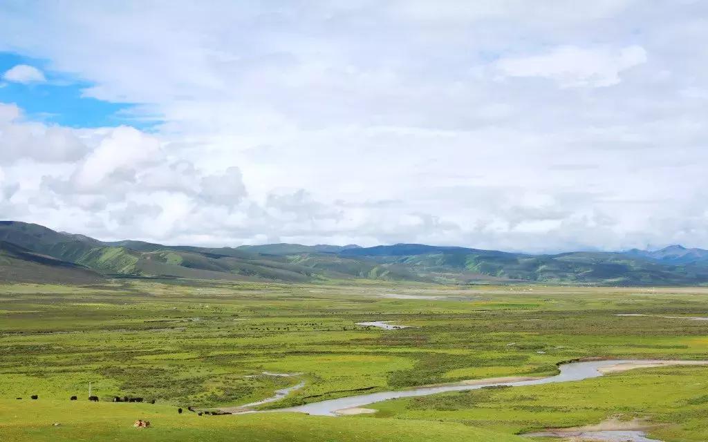 秒杀若尔盖！川西有个官方认定的最美草原，景美人少不收门票！