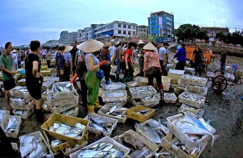 防城港吃海鲜贵不贵,防城港吃海鲜最便宜