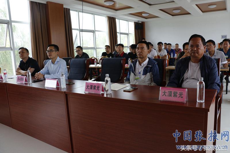 百e国际香港,百e国际平台