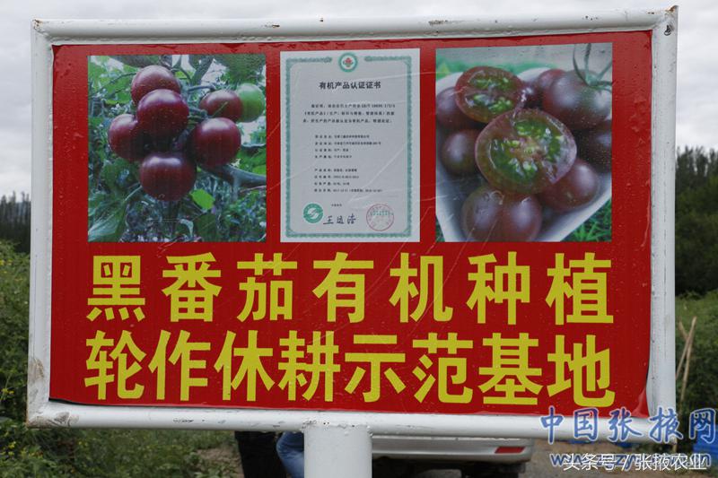 百e国际香港,百e国际平台