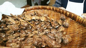 一天卖出1000只鸡,一天卖几千只的兔子