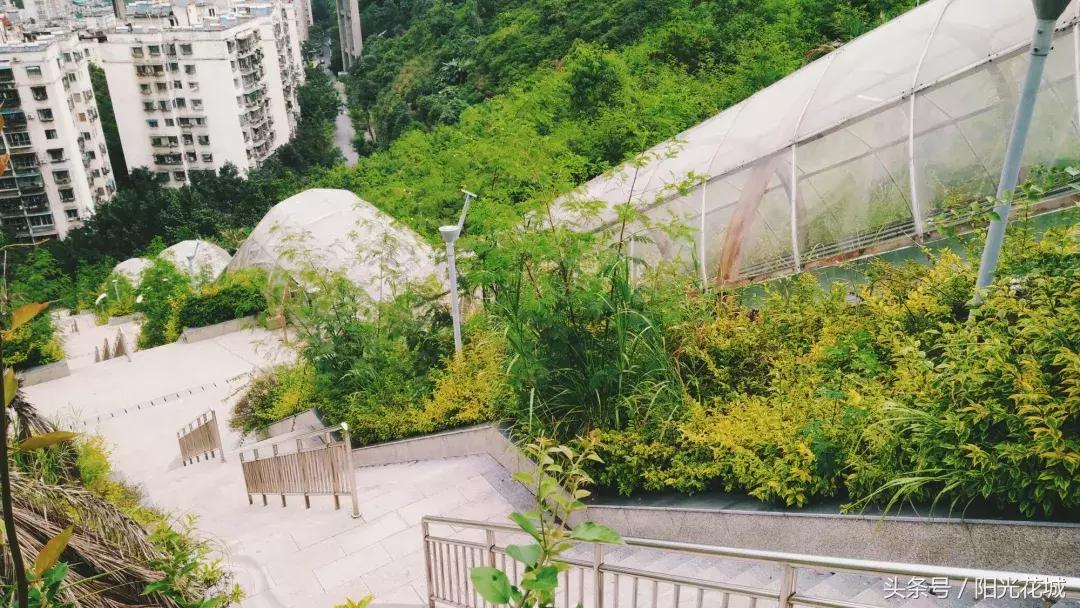 攀枝花的路有多陡,攀枝花最陡的坡