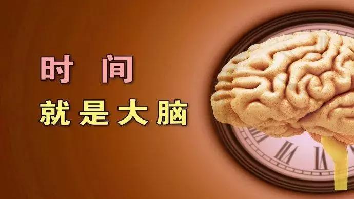 植物人促醒脊髓电刺激承受不住,植物人唤醒