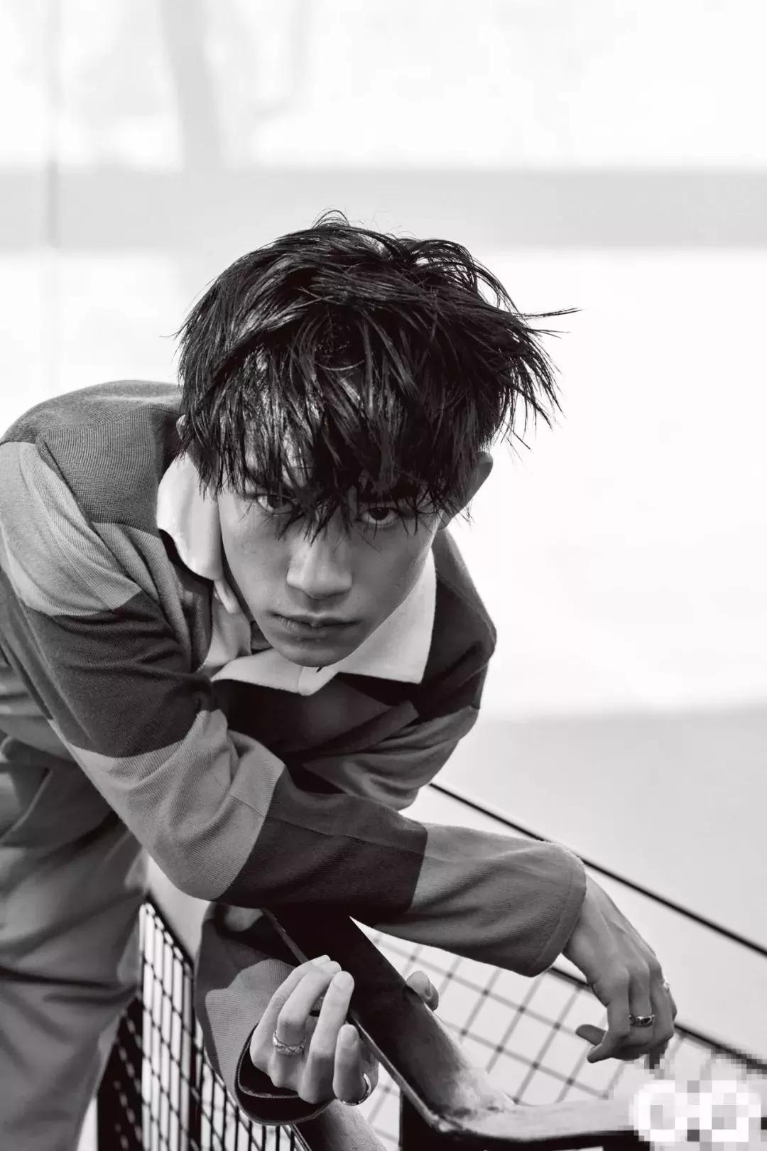 tfboys六周年介绍完整版,tfboys五周年花海