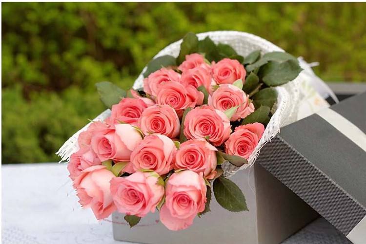 送花怎么选择合适的花,送花花的种类和意义