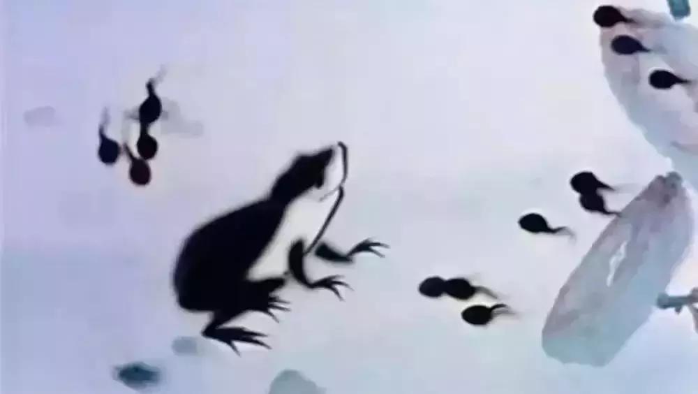 与孩子度过暑假快乐时光,让孩子们度过充实又丰富的暑期