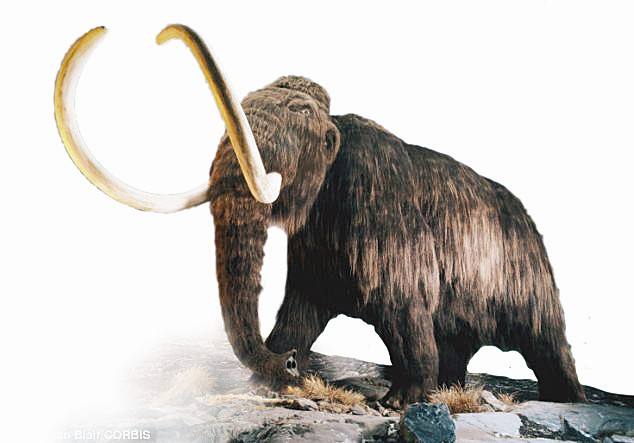 地球史前十大奇葩动物,地球远古动物大全