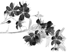 唐山最大的学校是哪里,唐山都有哪些个好学校