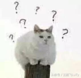 pg旗下潮牌好吗,pg自创潮牌