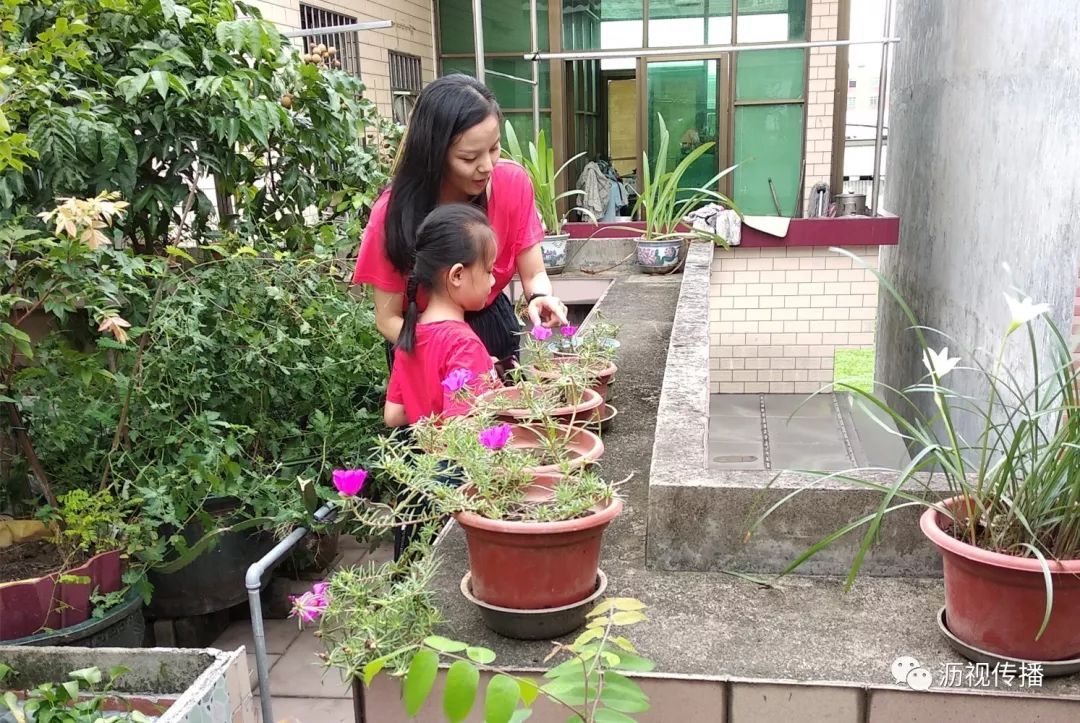 最美庭院评选,寻找最漂亮的花园小院