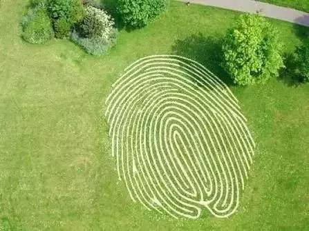 草坪该如何养护管理,楼顶花园草坪选择哪种比较好