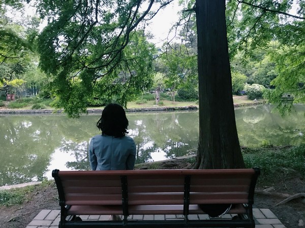 云深不知处格局,黄山风水奇穴