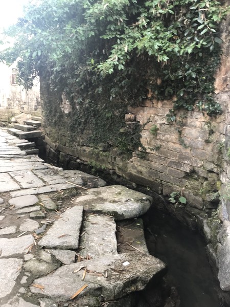 云深不知处格局,黄山风水奇穴