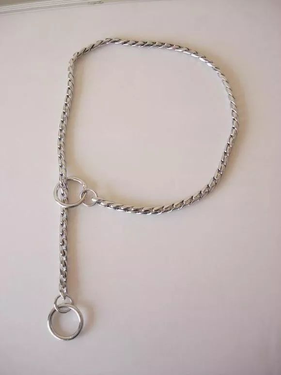 遛猫的人都被难哭了，遛狗的人……怎么也哭了？！