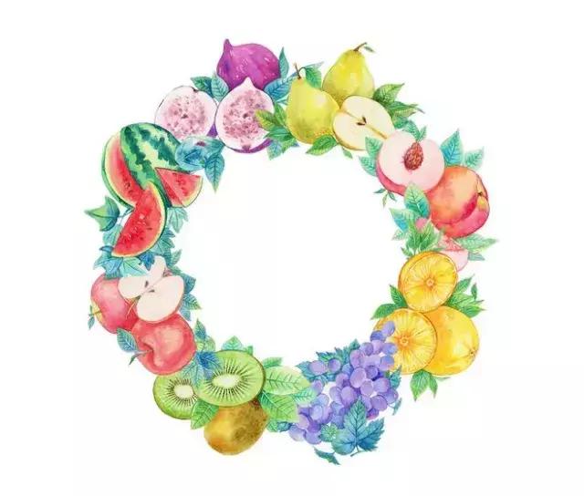 经典花卉品种推荐,现在最适合养的花卉品种