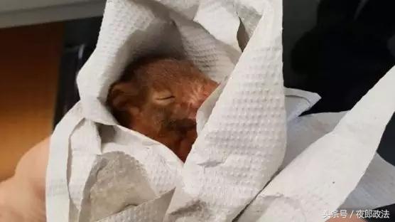 从警39年的老警察,八旬老人落水民警一路狂奔成功