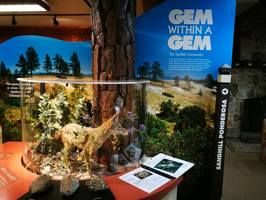 原始森林房车游记,红杉林房车自驾游