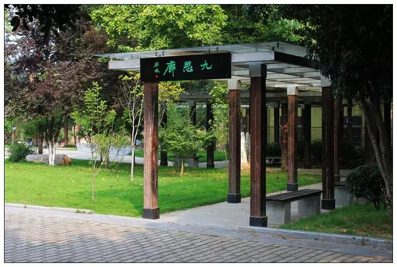 再见合肥师范完整视频,合肥二中校园