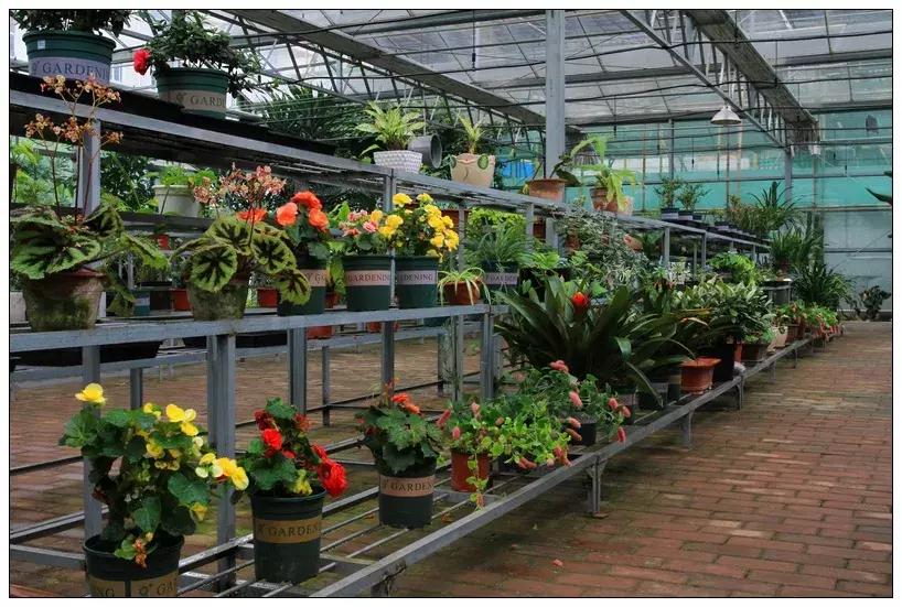 再见合肥师范完整视频,合肥二中校园