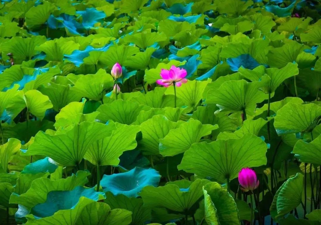 昆明情侣一日游的最佳景点,昆明情侣打卡景点排行榜