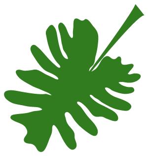 高温引起的炎症,夏季高发妇科疾病的原因