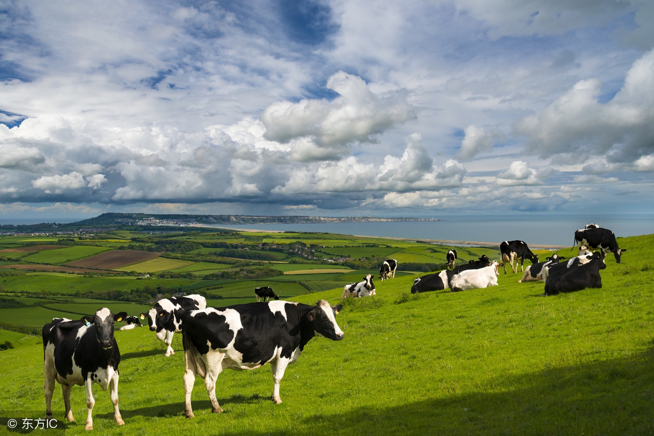 皮革布料知识,皮具知识大全集