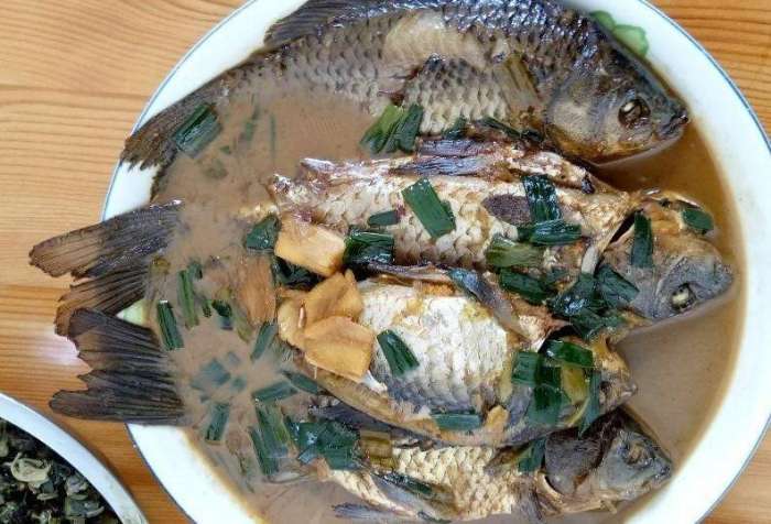 钓的鲫鱼身上有虫子能吃吗,钓的鲫鱼能吃吗有毒吗