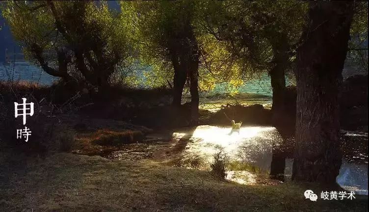 十二时辰养生法视频,十二时辰经络脏腑养生知识