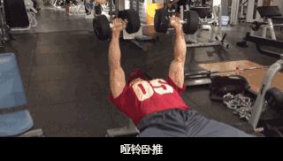 一对哑铃在家如何练出倒三角身材,哑铃练倒三角身材怎么练