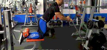 怎么练习背和腰力,如何强化腰背肌力量