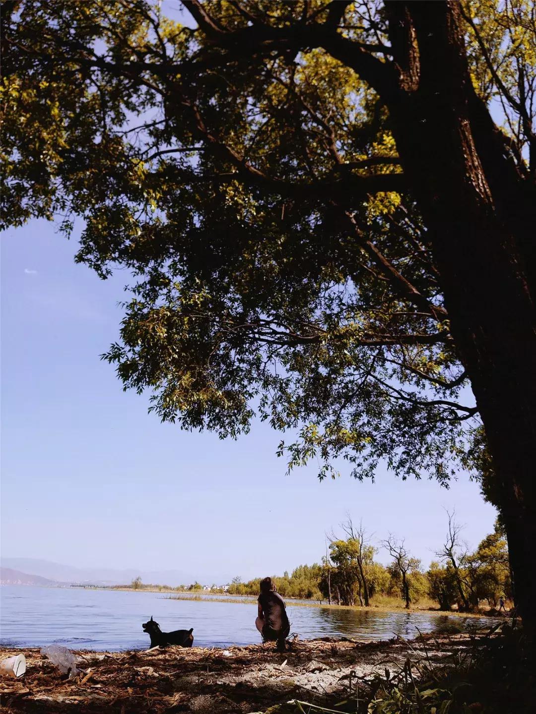 从马来西亚全职太太到丽江单身生活，她生命中的这些感动我