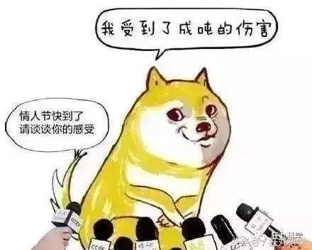 都8102年了,七夕还不知道送什么?收下这个表白网站