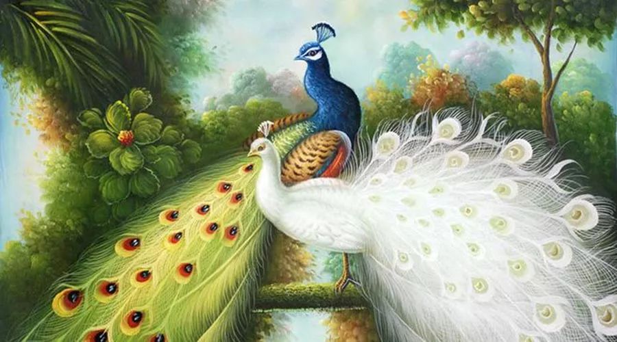 所谓情爱，佛云：不可说，不可说；子曰：如之何，如之何？